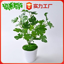 ����ֲ��Gֲ�����b��~���߲������~ֲ���ļٻ��^�z�ָ��~