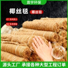 �Vɽ�;GҬ�z̺������ֲ��̺���B�������̾G�����_ˢҬ�w�S̺