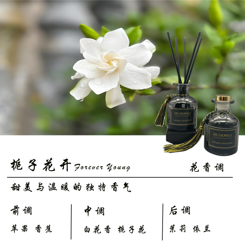 치자나무가 피어난다(핫스타일)