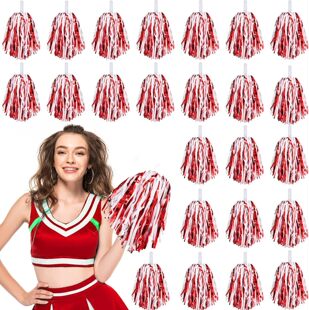 24 �� Pom Poms ���������꠾���g��ָ�]���ֱ����ٲ��m����w