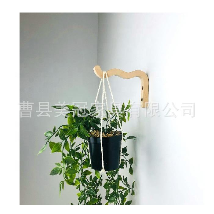 Cross-border Spot Indoor Plant Hanger Hanging Plant Stand Swing Wall Plant Hook Plant Hook