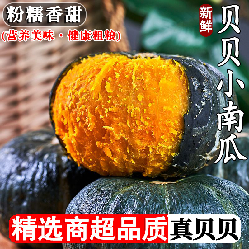 Beibei Pumpkin Authentic Chestnut Flavor Small Pumpkin Fresh Baby Food Supplement Powder Glutinous and Nutritious High-Quality Old Pumpkin