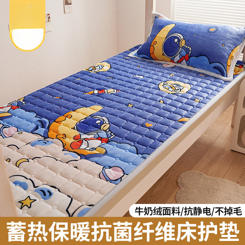 별이 빛나는 하늘 곰 [A급 표준 피부 친화적, 방한 및 보온]