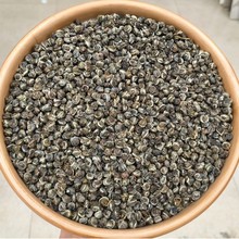 福建茉莉小龙珠  手搓龙珠浓香甘甜25年广西横县茉莉花茶厂家批发