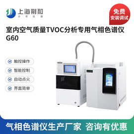 荆和G60室内空气质量TVOC苯色谱分析仪专用气相色谱仪厂家