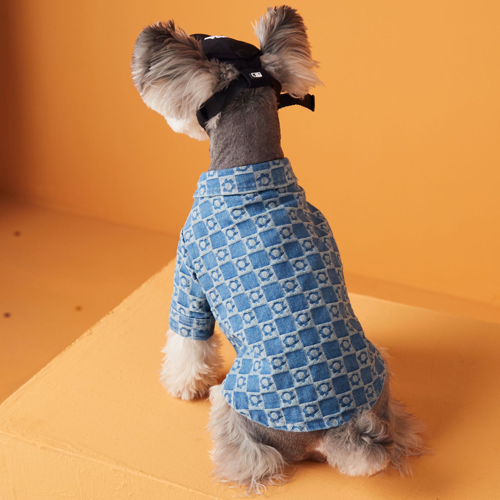 Plush Floral Shirt Teddy Schnauzer Pet Cat Base Image 5