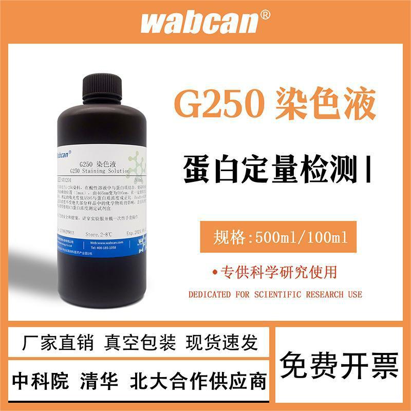 考马斯亮蓝试剂盒快速染色液G250染色液脱色液