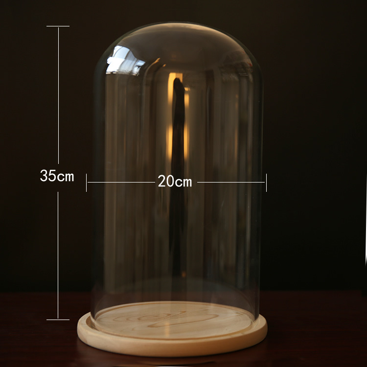 Fábrica eterna flor cubierta de vidrio creativo artesanía decoración transparente florero de cristal soporte varios tamaños