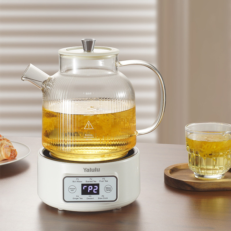 Amazon Specializes in Cross-Border Export 110V Health Pot Multi-Functional Household Glass Tea Maker Water Kettle Flower Teapot