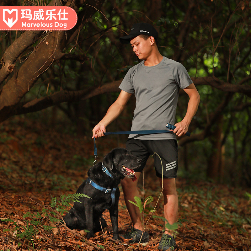 Marvelous Dog Nylon Dog Leash Reflective Collar for Small, Medium, and Large Dogs