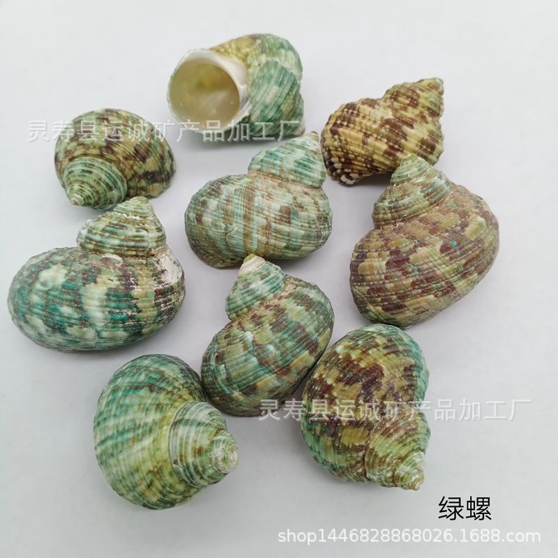 IMG_20210903_150029_副本