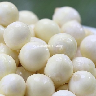 �͌��u�^�����r2025�K���K������ܛŴ���w���ؼ��Ǹ�؛��ʳ�u�^��