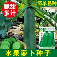 Вэйсянь Qingshawo Фрукты Редька Семена Шаньдун Вэйфан Сладкий Хрустящий Петля Семена Зеленая Кожа Зеленое Сердце Сырые Семена Овощей
