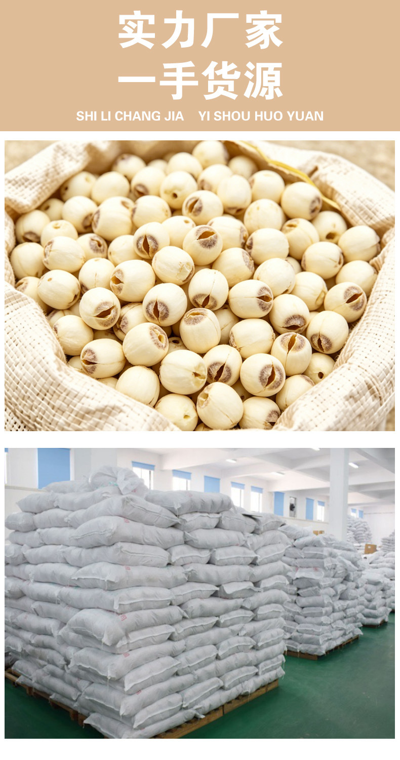 Lotus Seed (Nelumbo nucifera) — Hunan White Lotus Seeds, Core-Removed, Sulfur-Free, 500g key features