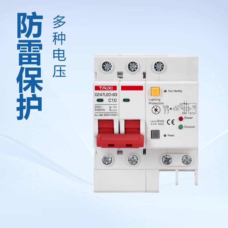 Tayxi 110V Lightning Protection and Leakage Protector Dz47Led Dual-Light Anti-Electric Shock Grounding Air Switch