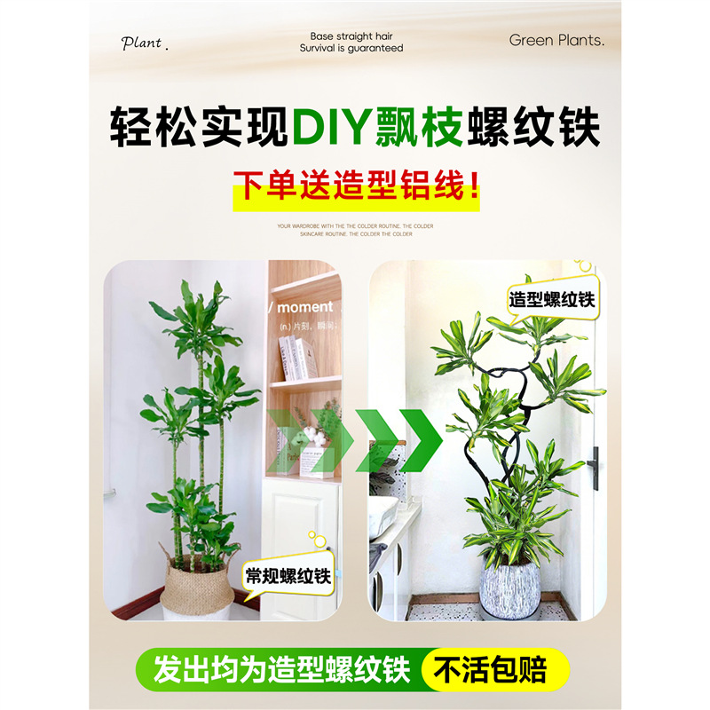 商品图