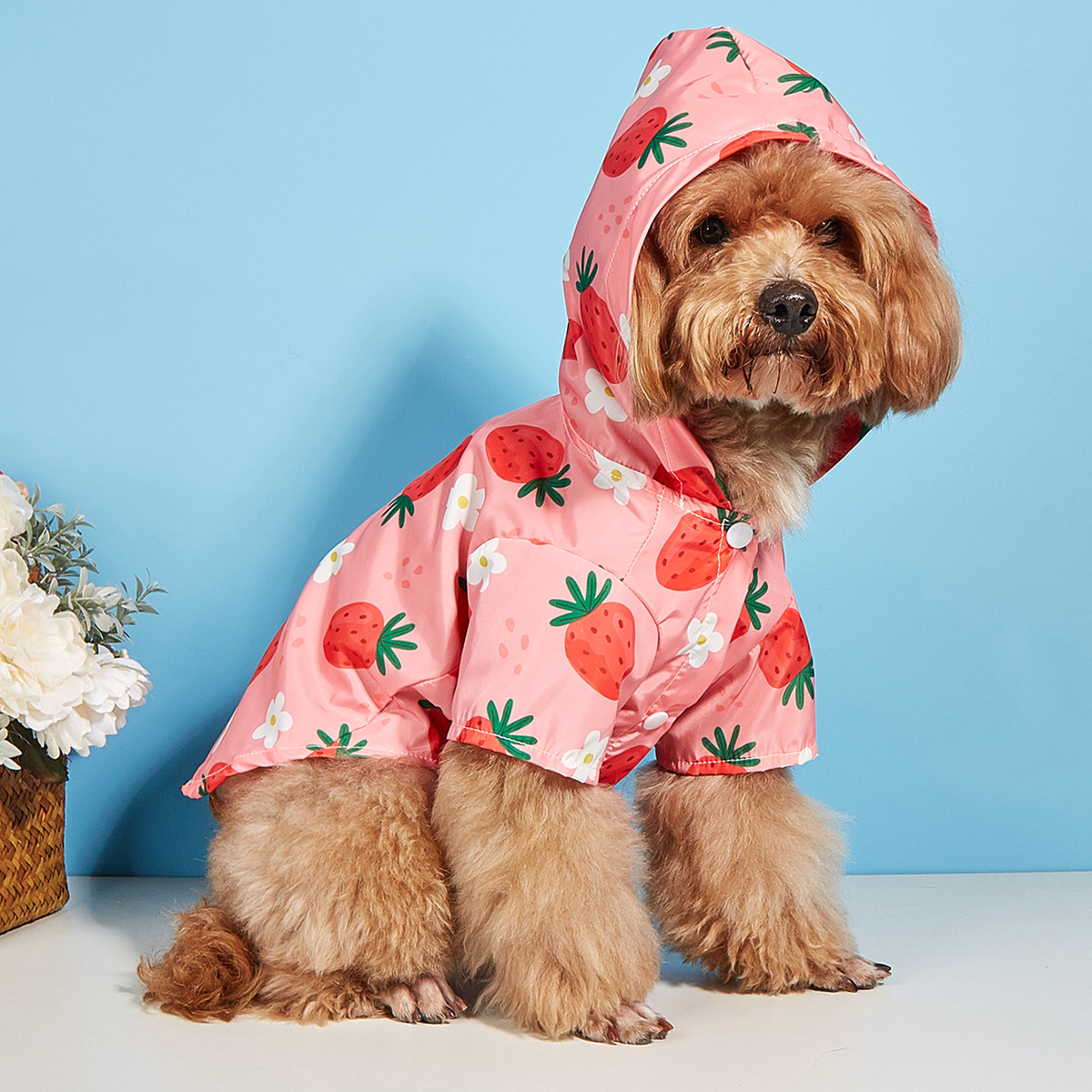 Cute Pastoral Polyester Strawberry Pet Clothing display picture 2