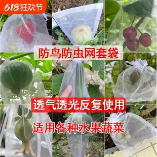 Fruit Bagging Fruit Mesh Bag Tomato Grape Fig Strawberry Insect-Proof and Bird-Proof Protective Bag Breathable Mesh Bag Small