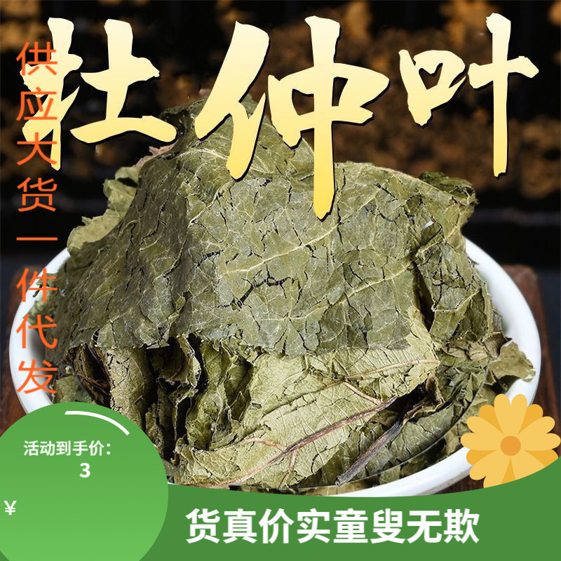 杜仲叶中药材500g正品新货原叶 杜仲叶子 另售杜仲银杏叶三七茶