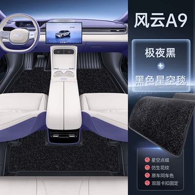 Modelə uyğun ayaqaltı, Fengyun A9, complete set of car - 212t01-fengyun-a9-26-models-midnight-black-upgraded-tpe-floor-mats-black-starry-sky-carpet