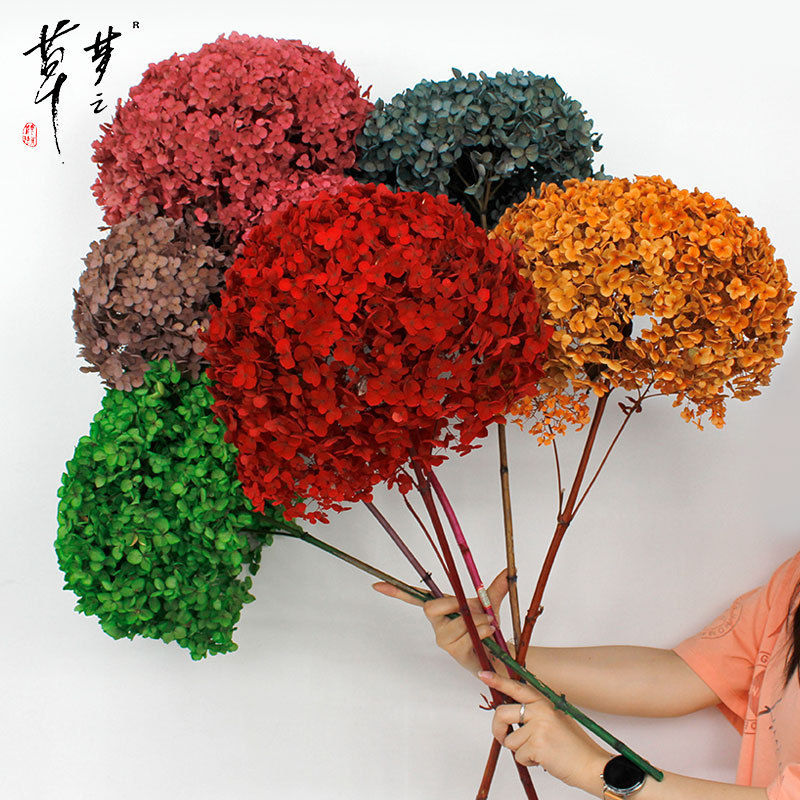 Yongsheng flower leaf A- Class Anna hydrangea single color-absorbing flower material DIY living room TikTok live decoration