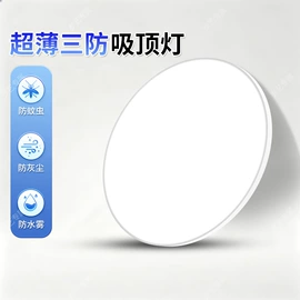 LED球泡灯;LED装饰灯;灭蚊灯