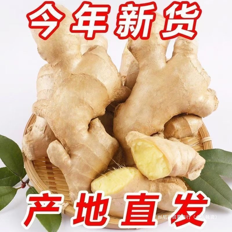生姜 山東生姜 老生姜 産後生姜 風乾生姜 厳選された新鮮な掘り出しターメリック 送料無料 2.5kg 中国本土|undefined