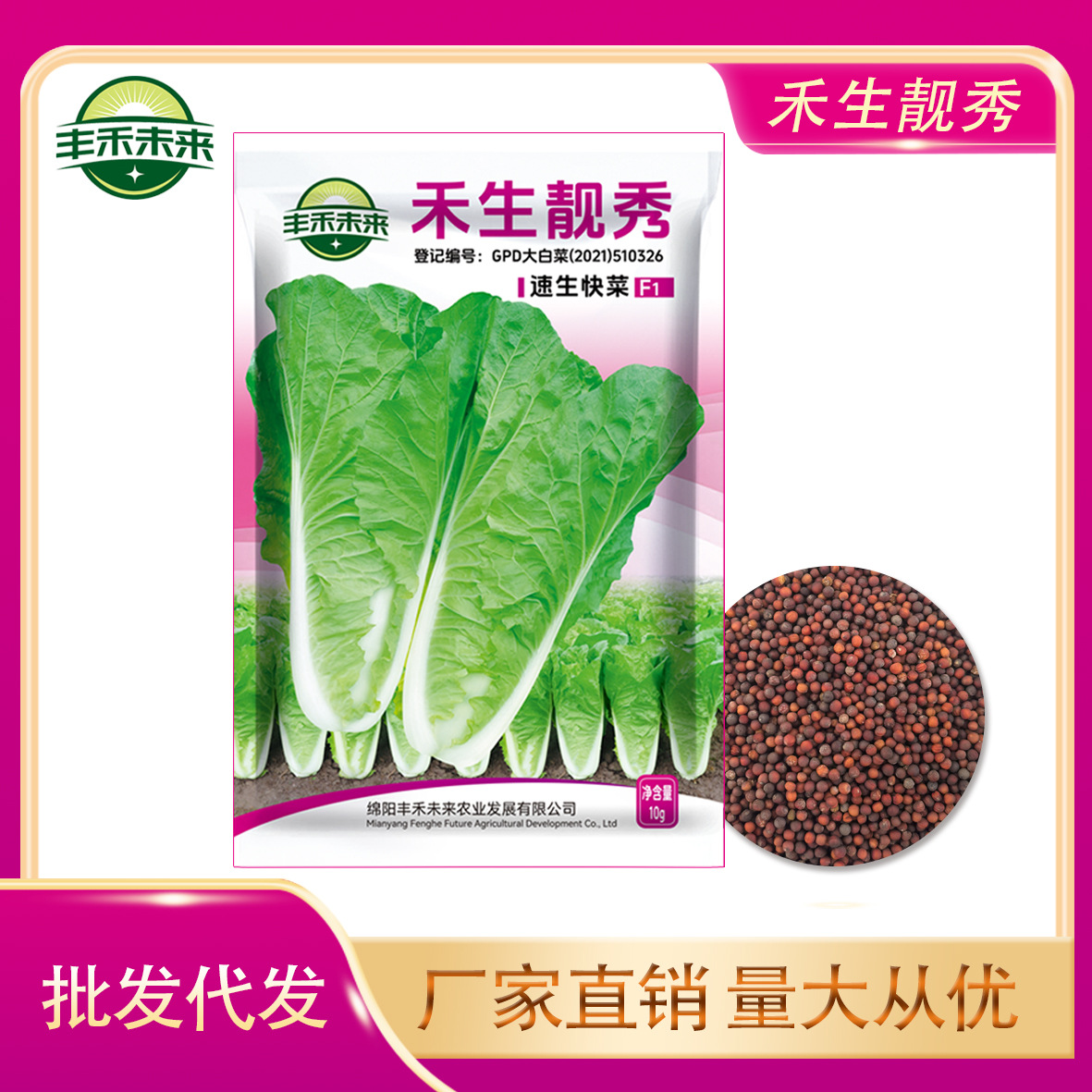 当季新种推荐速生快菜禾生靓秀四季阳台田园庭院盆栽大田蔬菜种子