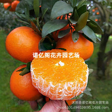 ɰ�����Ә���޽ӽ��������Ե��Ը��ٟo�����٘��箔��Y��������