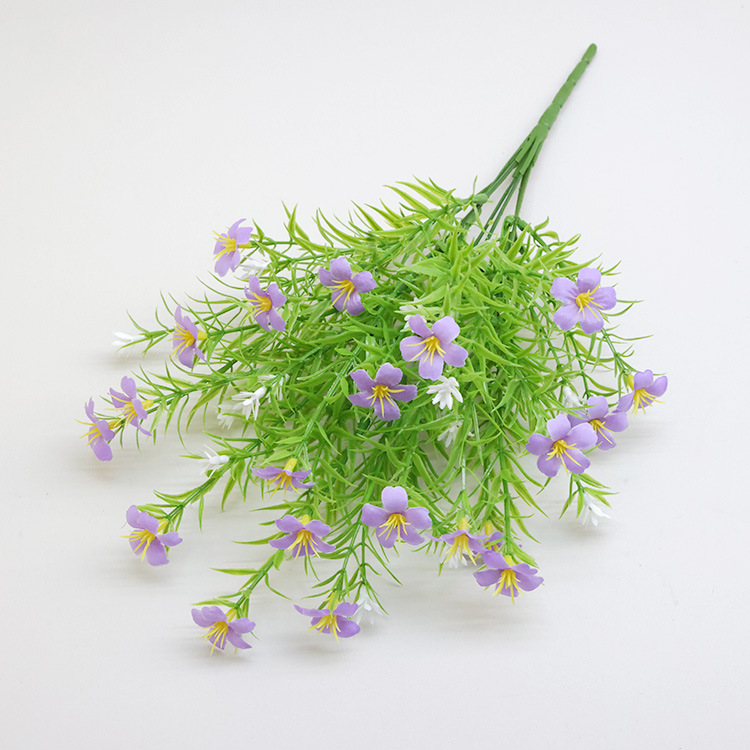 야생화 안개꽃 보라색