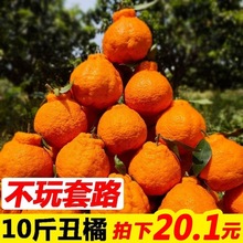 四川丑橘不知火丑柑丑八怪橘子水果批发新鲜水果耙耙柑桔子柑橘