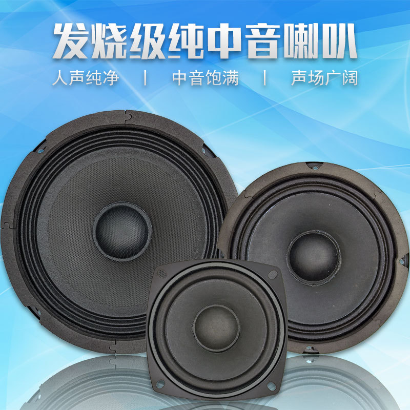 Fiebre de 4 pulgadas 5 pulgadas 6.5 pulgadas altavoces de alto tono puros HiFi altavoces de alta fidelidad de sonido modificados de frecuencia media
