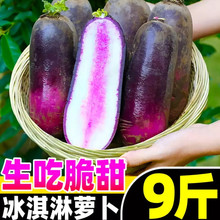 山东冰淇淋水果萝卜9斤冰激凌红萝卜冰糖心紫萝卜脆甜潍坊萝卜
