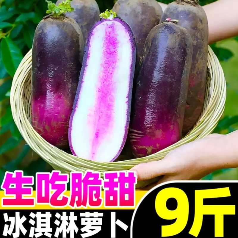 山东冰淇淋水果萝卜9斤冰激凌红萝卜冰糖心紫萝卜脆甜潍坊萝卜