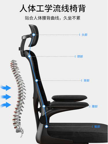 Wholesale computer chair home office chair sedentary backrest student conference chair latex mesh chair lift swivel chair seat