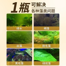 ~׳儩ȥ̦̦ȥGˮGzǌ