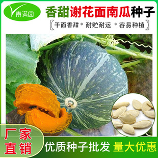 ��Ŵ�x�����ϹϷN���r�ҾGɫ�C�������ϰ����Ϲ�ؐؐ�ϹϷN���߲�