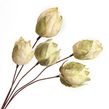 狂想者源头新品【重瓣白色荷花】莲蓬家居婚礼装饰自然真花干花