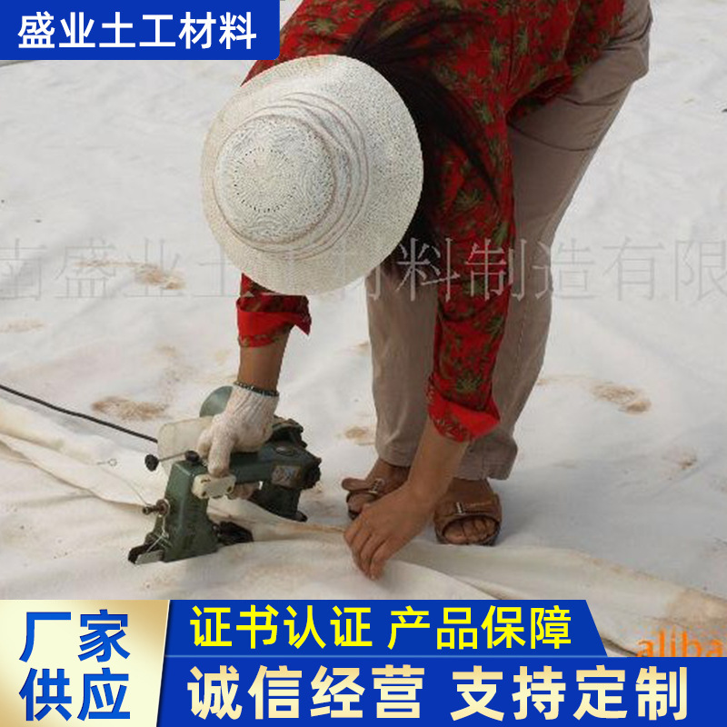 盛业厂家PE高分子卷材材料防水复合土工膜 防水防渗两布一膜供应