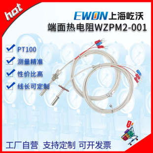 ���ƶ�������WZPM001/201늙C�S�б���̽�^PT100��ˮ���͸ߜ�