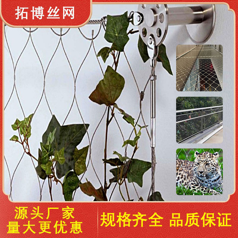 厂家供应不锈钢绳网植物攀爬网景区吊桥用装饰绳网绿化网钢丝网