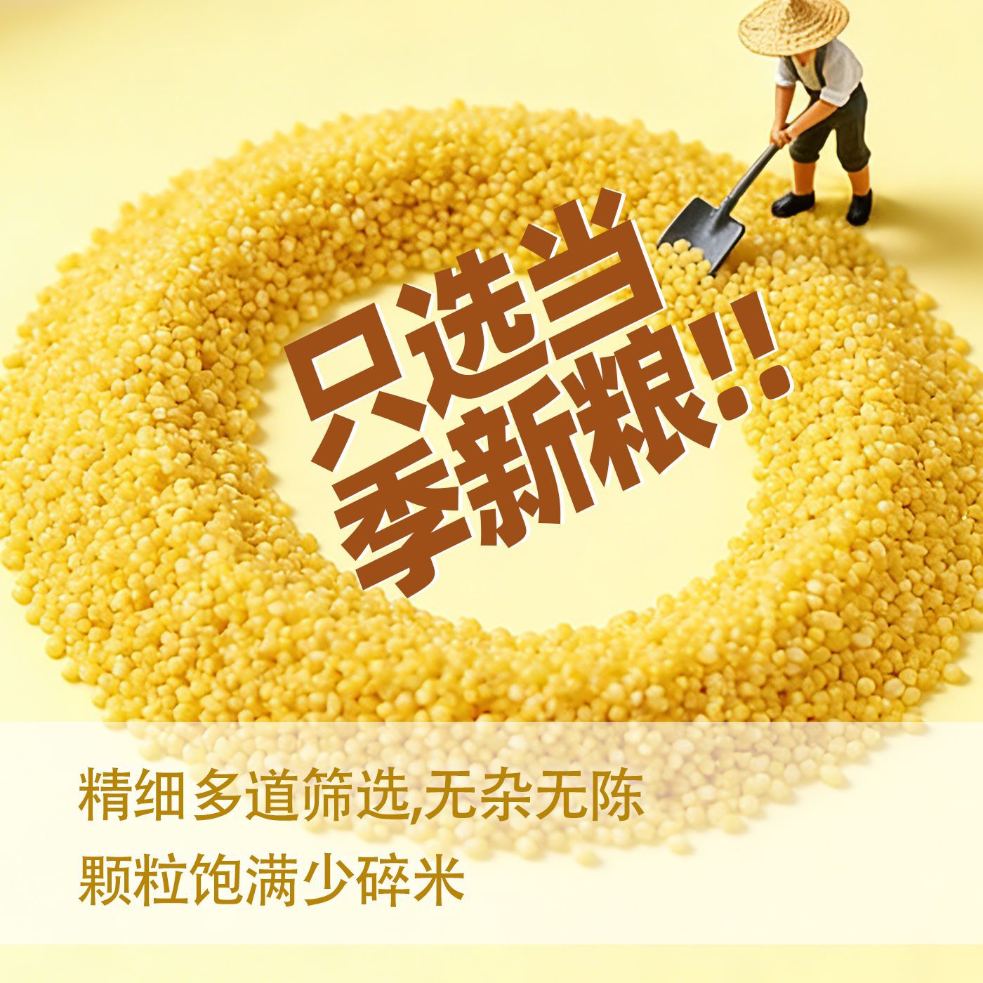 노란 기장 500g 도매 대량 산시 새 쌀 농장 향기로운 찹쌀 시리얼 죽 굵은 곡물 크레인 향