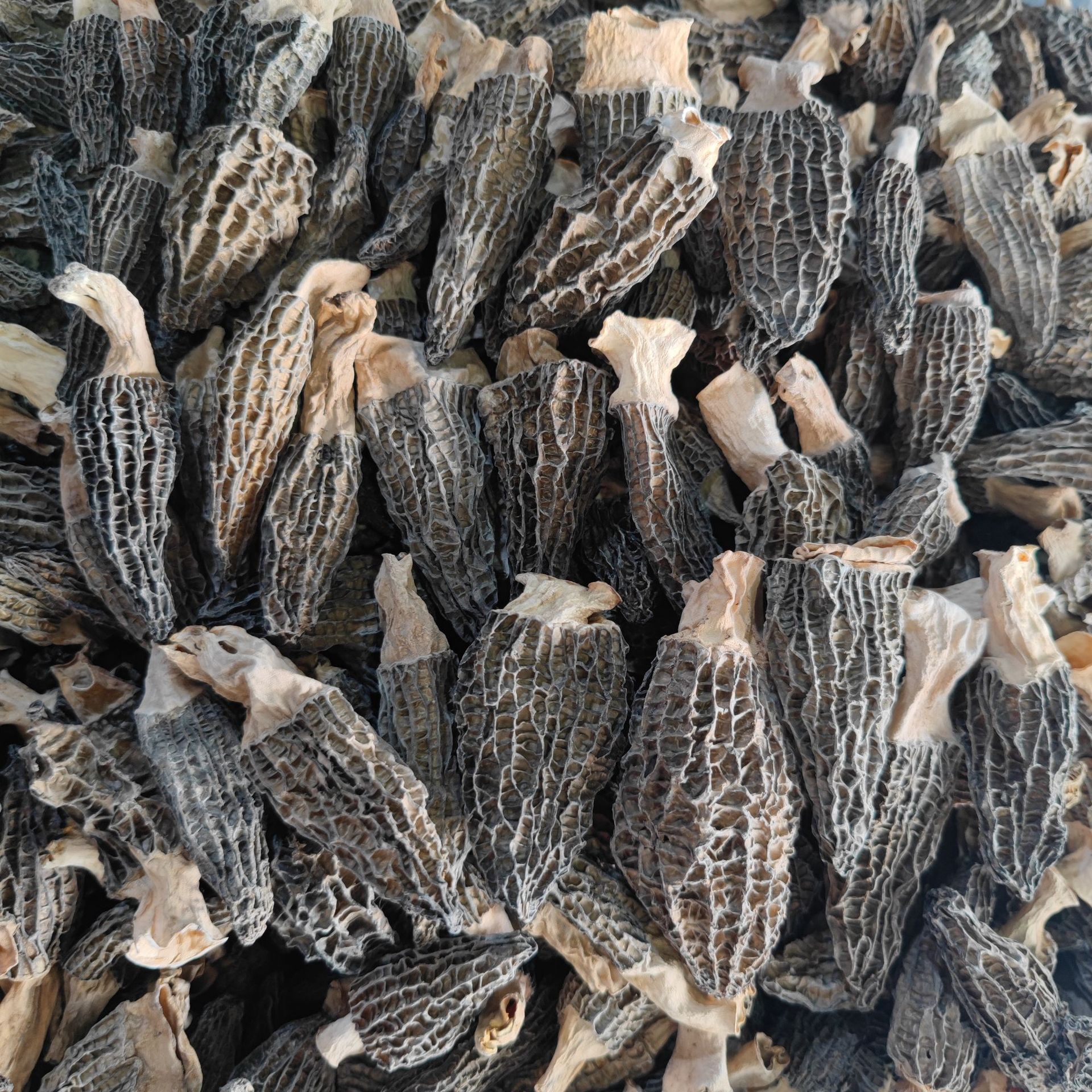 c49926c85be4ac7e4dd10309f83670