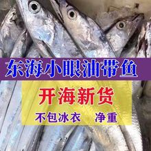冷冻海鲜东海小眼睛本地带新鲜冷冻海捕刀鱼海鲜特产3斤一件代发