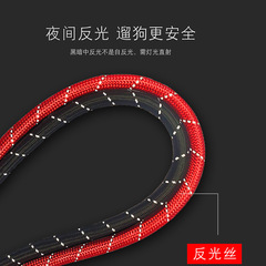 New Hot Selling Pet Leash Outdoor Anti-Explosion Spring Rope for Small to Large Dogs