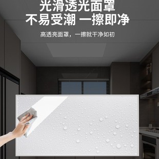 Kitchen Panel Light Embedded Integrated Ceiling X600Led Flat Light Aluminum Gusset Plate Bathroom Bathroom Hongyan 300