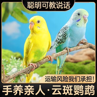 ��Ƥ�W�^���B���B�H�����������r�BС�͌����B�ɌW�fԒ�����Pĵ��