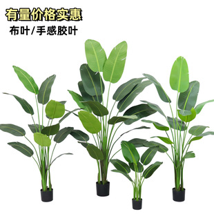 �羳���N�� �������˽����� �����Gֲ���W�L�[���͏d����b��辰