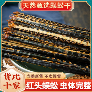 ��ș�ć��a�t�^���8-17�����L��������ϐ�Ӹ����ˮ�θɰ��]