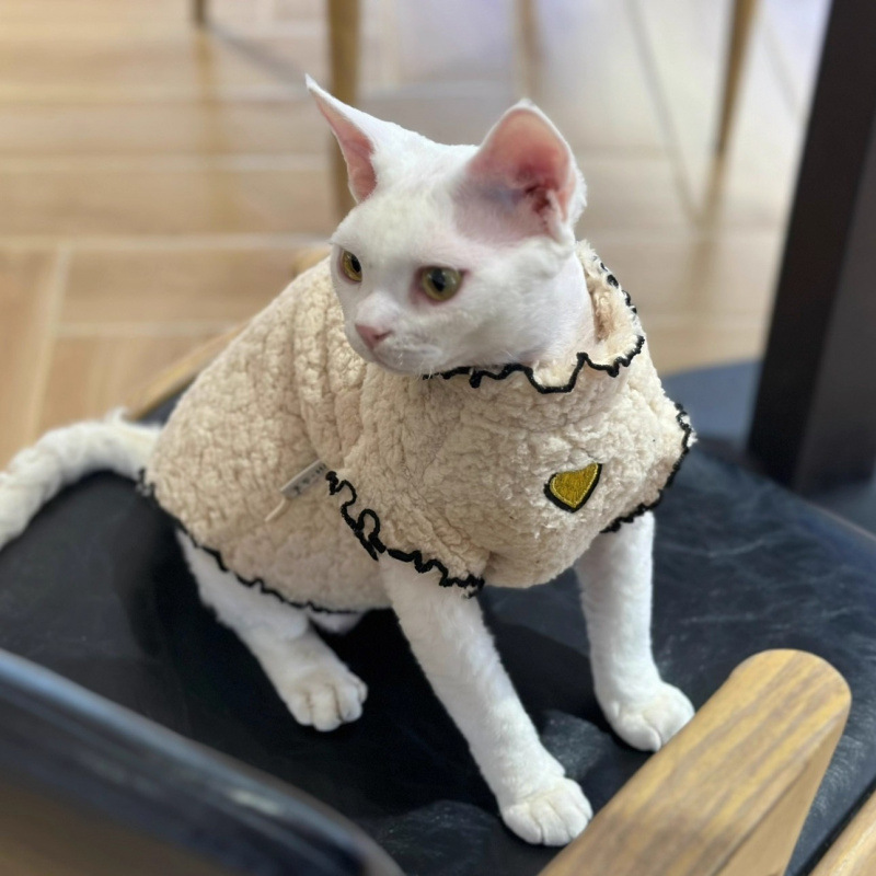 Ropa de gato de invierno nuevo chaleco de cordero cálido lindo chaleco de encaje gato sin pelo Devince Sphinx algodón